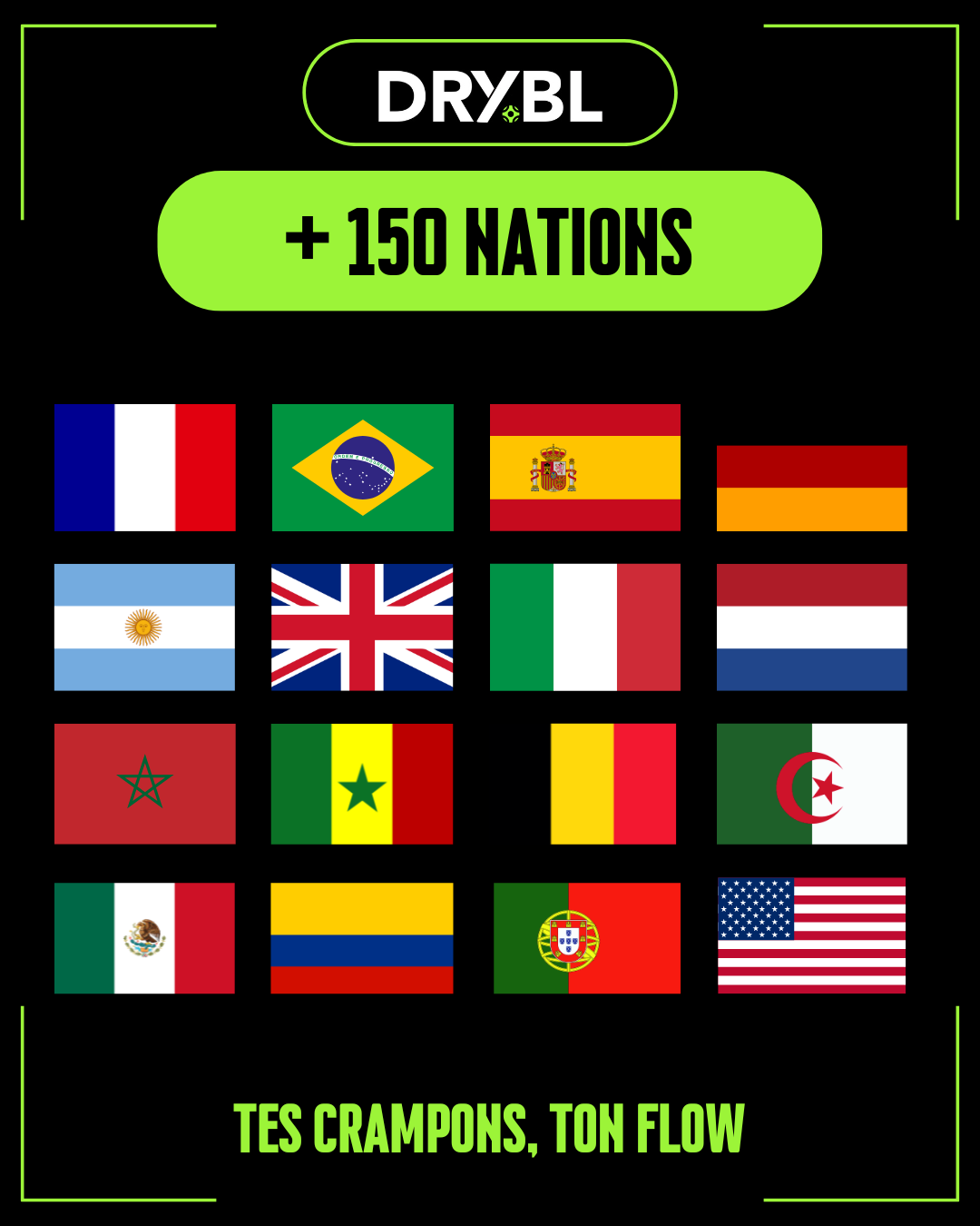 LES DRAPEAUX